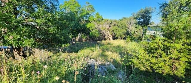 rental at 1697 Winding Creek in Spring Branch, TX — photo 3