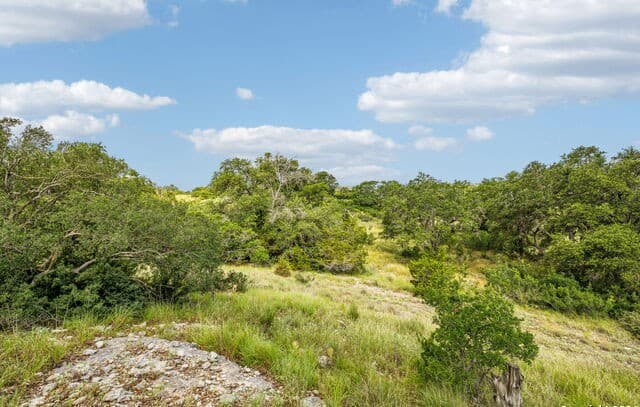 rental at 155 Obscure Way in Spring Branch, TX — photo 4