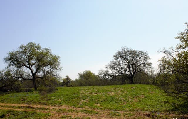 rental at 327 PR Sunset Vista Dr Lot 74 in Somerset, TX — photo 5