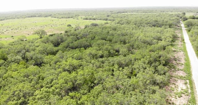 rental at 00 6th Street in Christine, TX — photo 2