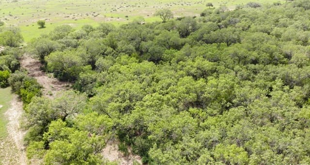 rental at 000 6th Street in Christine, TX — photo 3