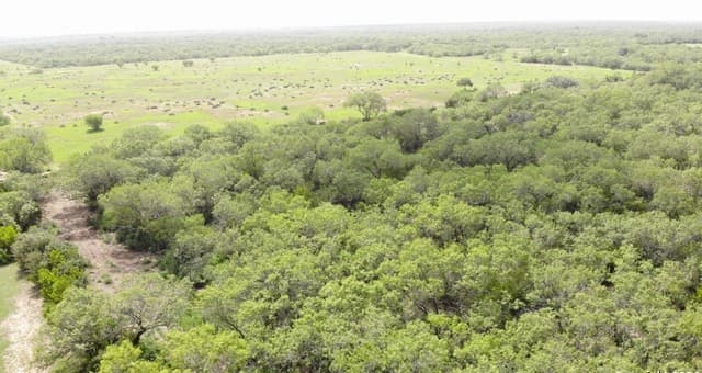 rental at 000 6th Street in Christine, TX — photo 4