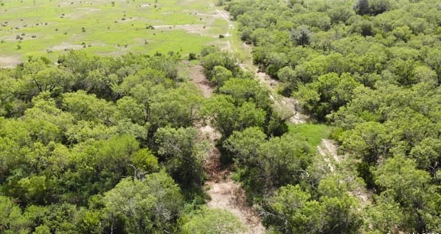 rental at 00 10th Street in Christine, TX — photo 2