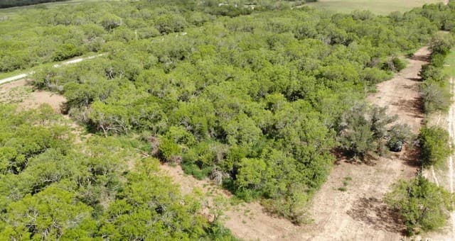 rental at 00 10th Street in Christine, TX — photo 5