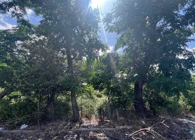 rental at 300 Virginia Blvd in San Antonio, TX — photo 3