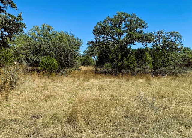 rental at 000 Contour Dr in Spring Branch, TX — photo 3