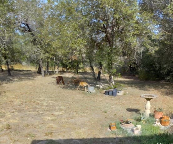 rental at 895 Gayle Ln in Poteet, TX — photo 1