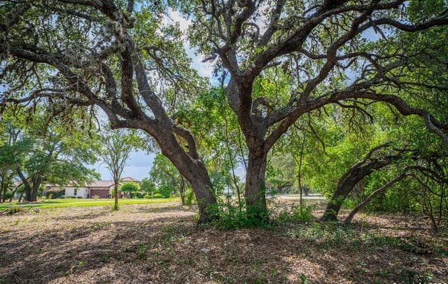 rental at 13402 Lucas Cir in San Antonio, TX — photo 3