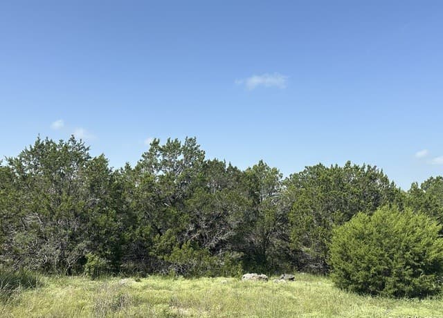 rental at 1231 Mystic Shores BLVD in Spring Branch, TX — photo 2