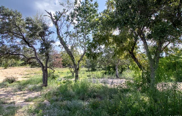 rental at LOT 6 Messina Cyn in San Antonio, TX — photo 3