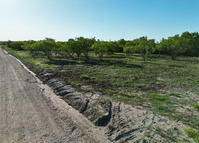 rental at 730 Cr 200 in Three Rivers, TX — photo 1
