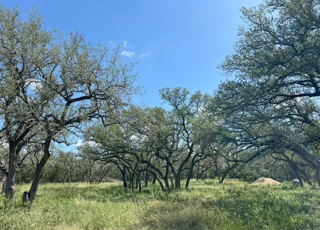 rental at 424 Pr 324 in Dhanis, TX — photo 3
