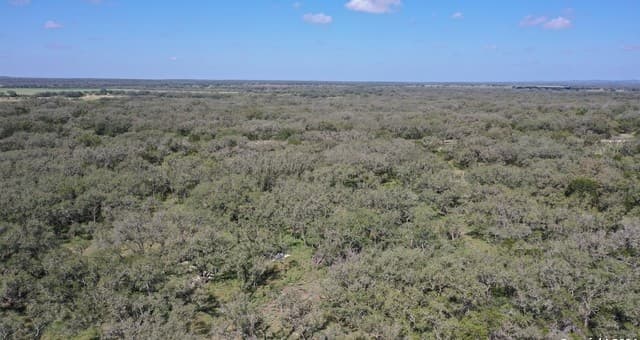 rental at 424 Pr 324 in Dhanis, TX — photo 5
