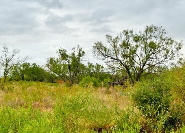 rental at 103 Cr 2636 in Devine, TX — photo 2