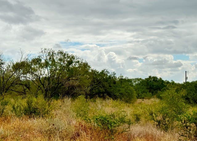 rental at 103 Cr 2636 in Devine, TX — photo 3