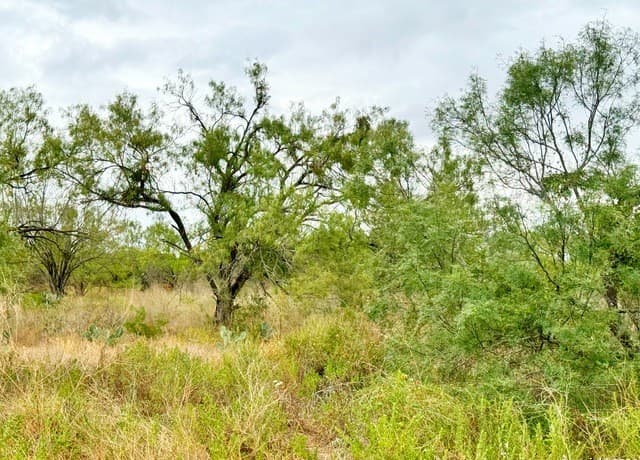 rental at 106 Cr 2638 in Devine, TX — photo 1