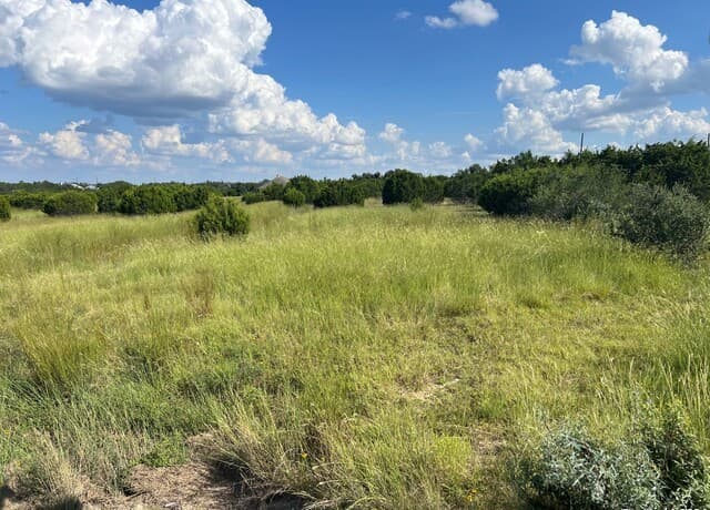 rental at 311 Bosque Ridge in Spring Branch, TX — photo 3