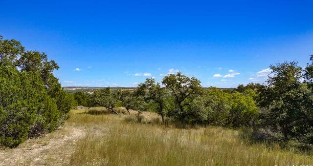 Home for sale at 455 Blackbird Dr in Spring Branch, TX — photo 5