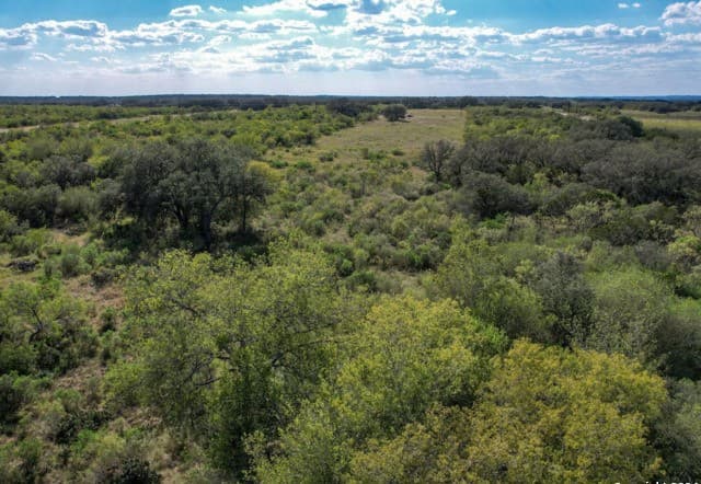 rental at 00 Utopia Forest in Dhanis, TX — photo 3