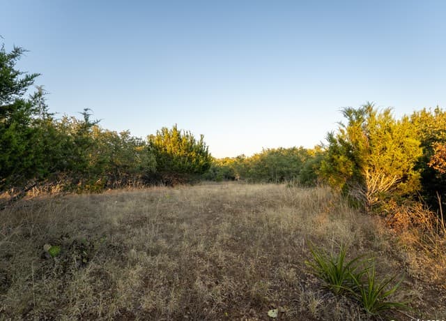 rental at 113 S John Bird in Blanco, TX — photo 2
