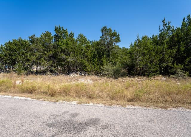 rental at 113 S John Bird in Blanco, TX — photo 5