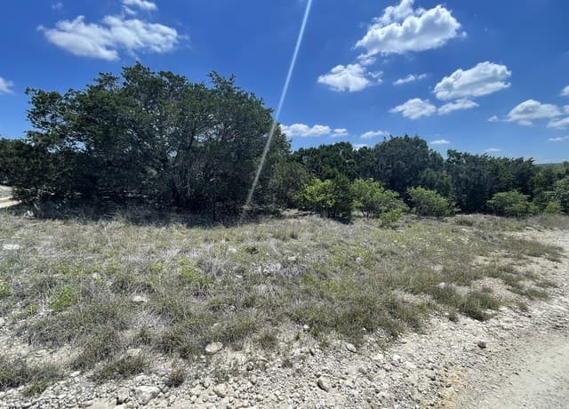 rental at 729 Vista Springs Dr in Spring Branch, TX — photo 4