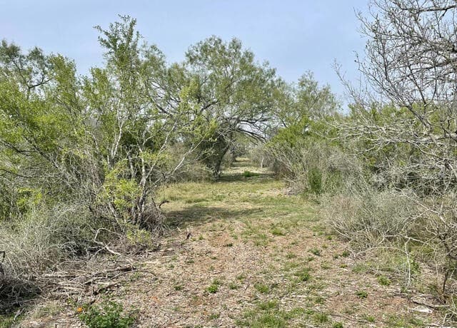 rental at 173 County Road 1670 in Moore, TX — photo 2