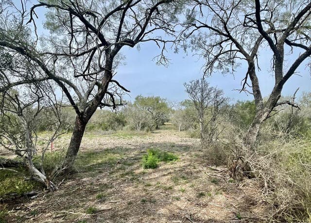 rental at 173 County Road 1670 in Moore, TX — photo 3