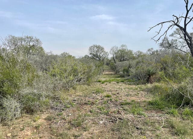 rental at 173 County Road 1670 in Moore, TX — photo 4
