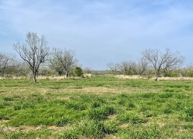 rental at TRACT 6 Fm 1332 in Jourdanton, TX — photo 4