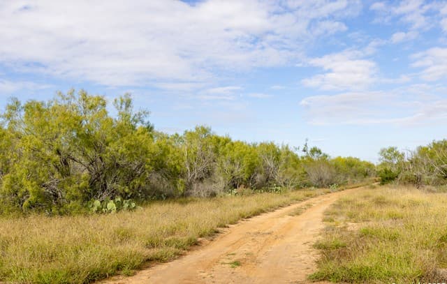 rental at 6 Fm 1581 in Pearsall, TX — photo 4