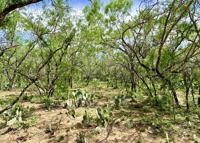 rental at TBD Dairy Road in Pleasanton, TX — photo 4
