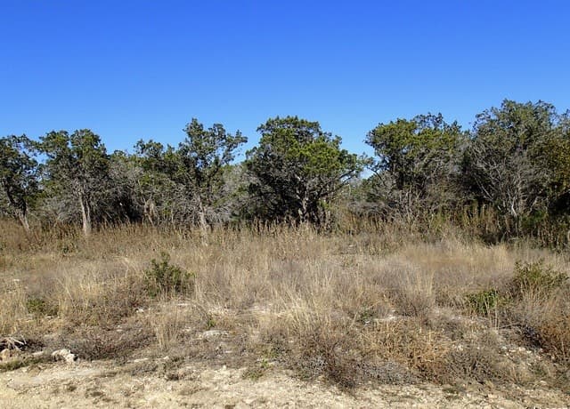 rental at LOT 119 Grand Oaks in Hondo, TX — photo 4
