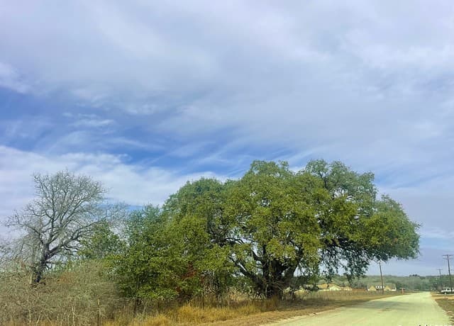 rental at 550 Schuettig Rd in Poteet, TX — photo 5