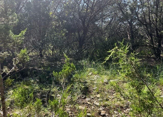 rental at 628 Hillside Dr in Spring Branch, TX — photo 5