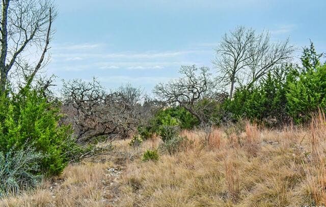 rental at 361 N Echo Falls in Comfort, TX — photo 5