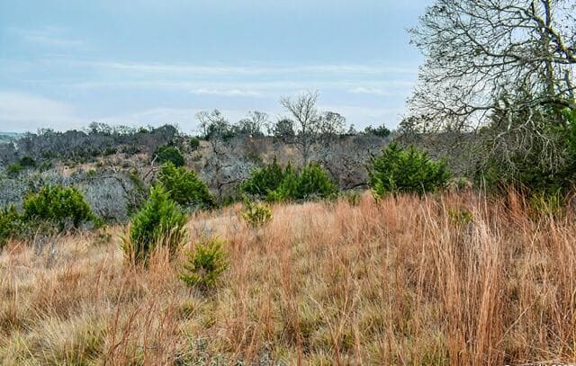 rental at 345 N Echo Falls in Comfort, TX — photo 2