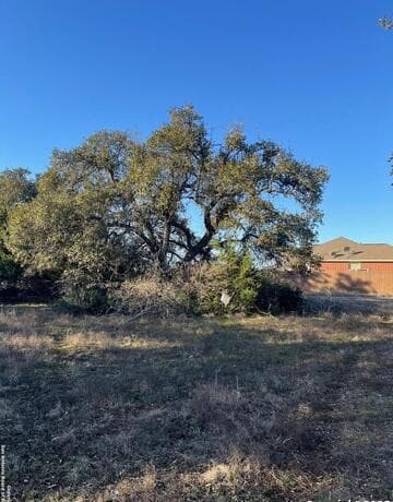 rental at 205 S Calvin Barrett in Blanco, TX — photo 1