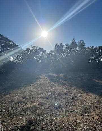 rental at 205 S Calvin Barrett in Blanco, TX — photo 3