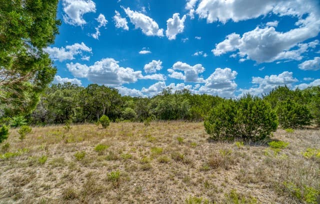 rental at 1239 Mystic Breeze in Spring Branch, TX — photo 2