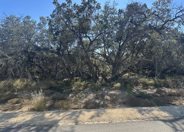 rental at 935 Serene Park in Spring Branch, TX — photo 1