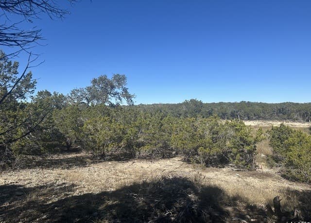 rental at 371 Serenity Pass in Spring Branch, TX — photo 1