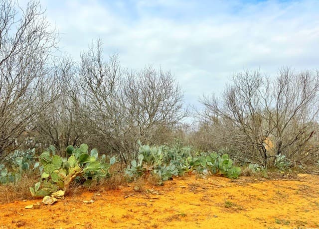 rental at TBD Old Hwy 81 Lot 2 in Moore, TX — photo 2