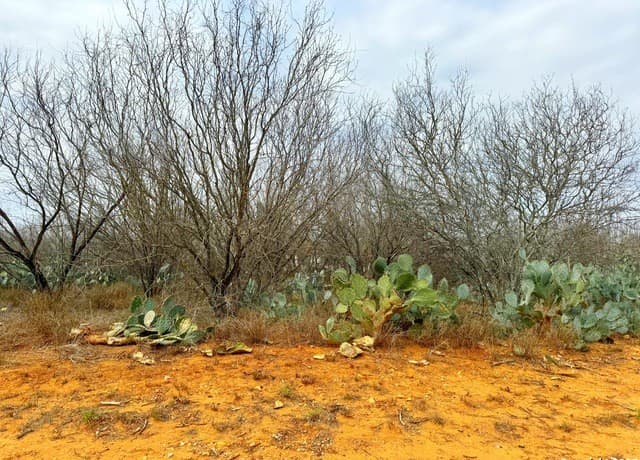 rental at TBD Old Hwy 81 Lot 3 in Moore, TX — photo 1