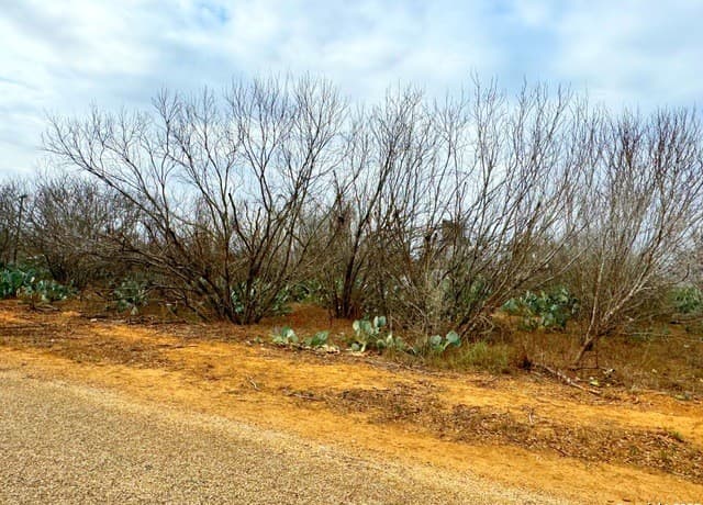 rental at TBD Old Hwy 81 Lot 5 in Moore, TX — photo 4