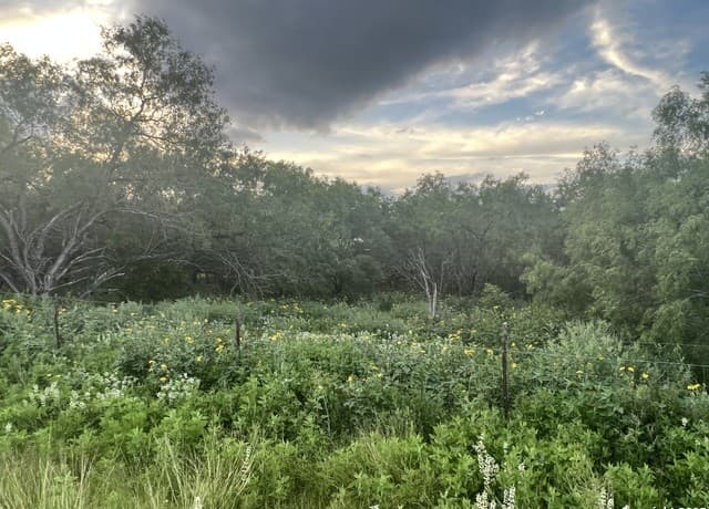 rental at 10477 Briggs in Atascosa, TX — photo 3