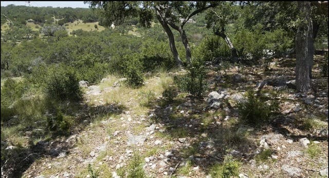 rental at 492 Havasu Pt in Spring Branch, TX — photo 2