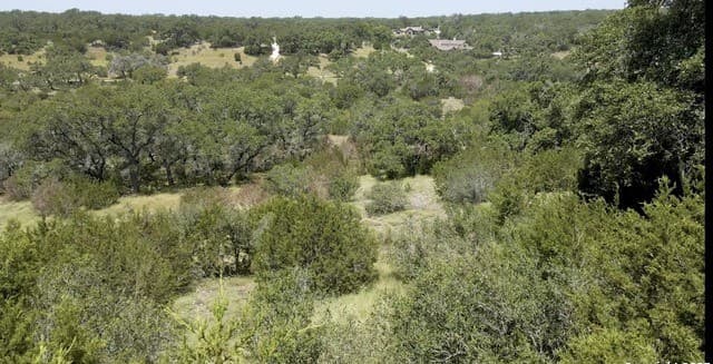rental at 492 Havasu Pt in Spring Branch, TX — photo 3