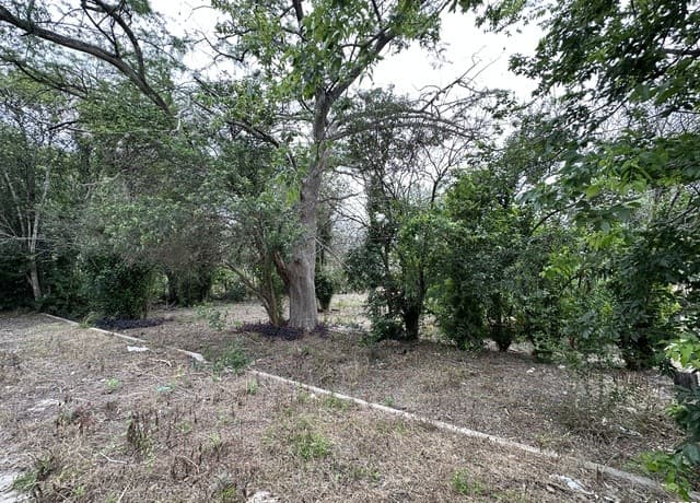 rental at 139 Anderson in San Antonio, TX — photo 4