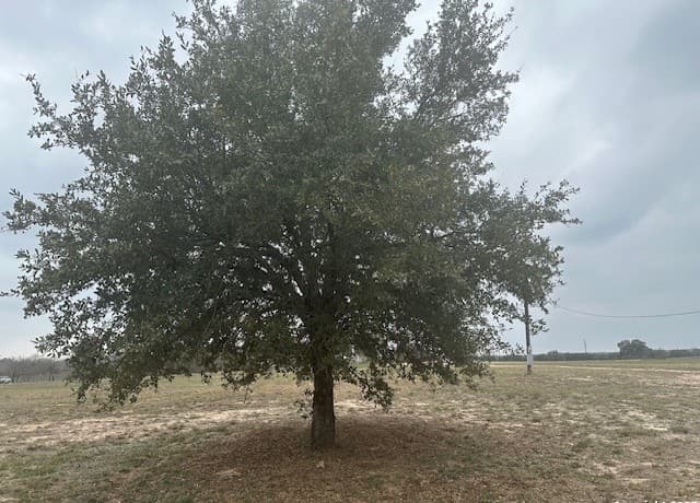 rental at 003 Stevens Rd in Von Ormy, TX — photo 1